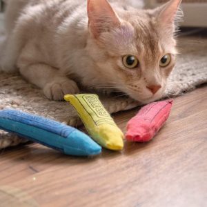 Ducky World Yeowww-Ola Crayons Cat Toy 3pc Set Organic Catnip