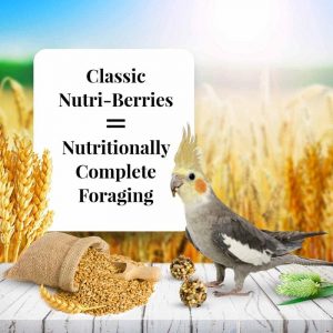 Lafeber Company Nutri-Berries Cockatiel Pet Food, 4-Pound