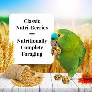 LAFEBER’S Classic Nutri-Berries Pet Bird Food, Made with Non-GMO and Human-Grade Ingredients, for Parrots, 3.25 lbs