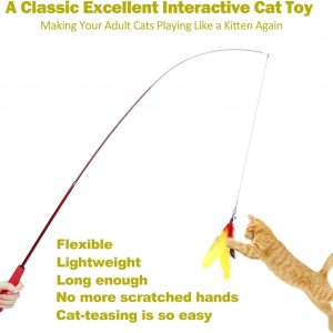 Huidcom Cat Feather Toy Retractable Cat Toys Wand with 2 Wands & 9 Assorted Teaser Refills Interactive Feather Teaser Wand Toy with Bell for Kitten Or Cat Having Fun Exerciser Playing