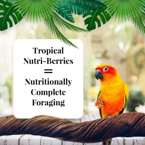 Lafeber’s Gourmet Tropical Fruit Nutri-Berries for Conures 10-Ounce Bag