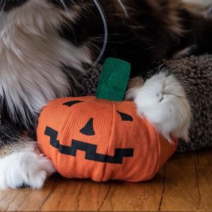 Yeowww, Catnip Pumpkins, 1 Count